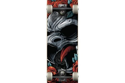Skate komplety Birdhouse